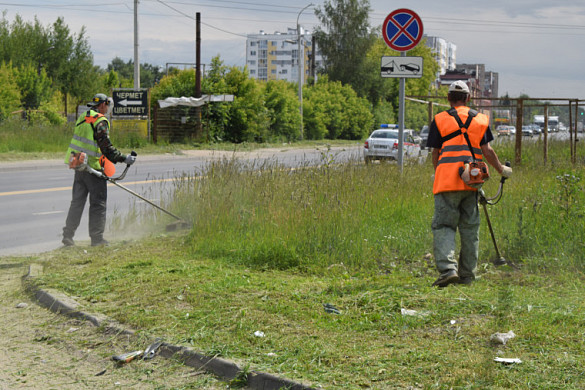 В Иванове скосили более 57 га травы за 3 недели